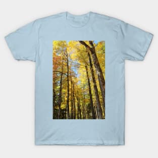 Autumn sun through the trees T-Shirt